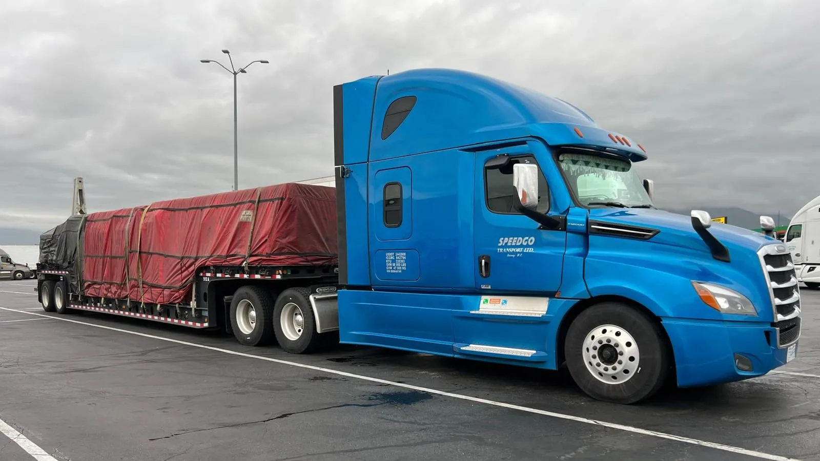 Blue Speedgo Transport truck hauling a full tarped load on a step deck trailer